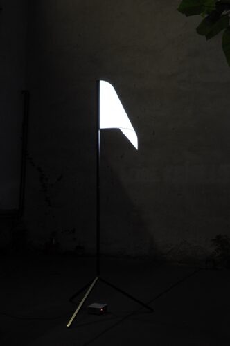 Flag, 2011